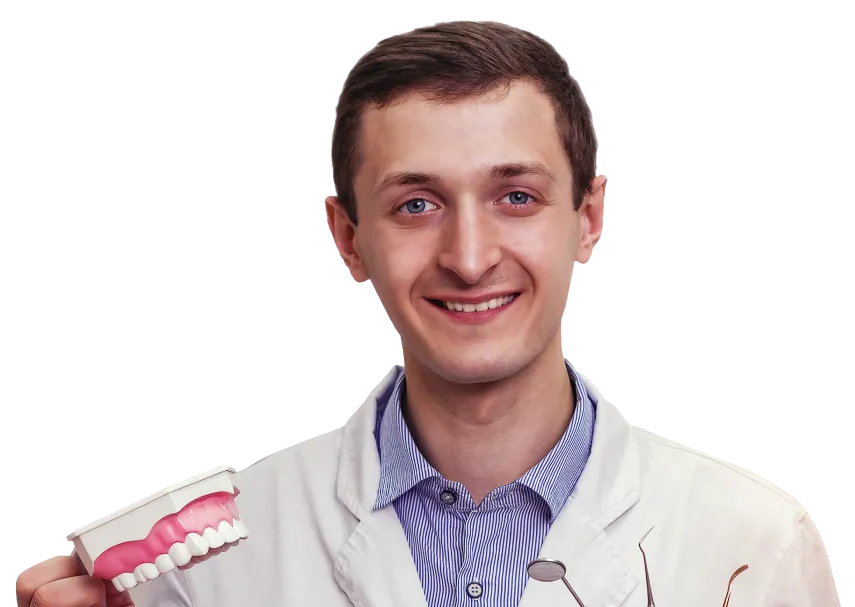 Smiling male dentist holding a dental model