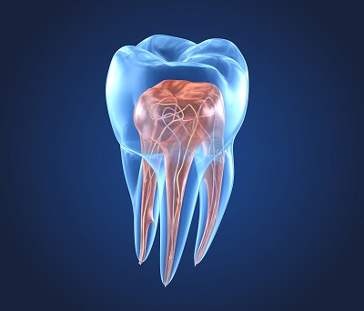 Close-up of a healthy tooth against a blue background.